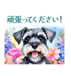 水彩スタンプミニチュア・シュナウザー（個別スタンプ：38）