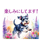 水彩スタンプミニチュア・シュナウザー（個別スタンプ：39）