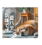 夏バテ犬♡わんわん（個別スタンプ：3）