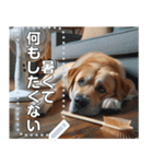 夏バテ犬♡わんわん（個別スタンプ：5）