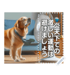 夏バテ犬♡わんわん（個別スタンプ：11）