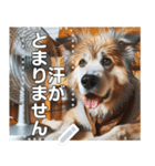 夏バテ犬♡わんわん（個別スタンプ：16）