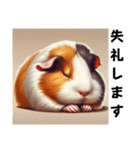 [敬語]ただただ可愛いモルモット（個別スタンプ：19）
