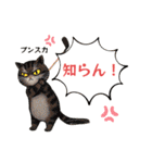 【グランドゴルフの仲間たち】ニャンコver.（個別スタンプ：17）