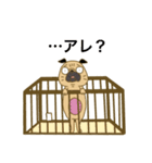 あたちパグのこうめ！！9（個別スタンプ：7）