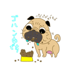 あたちパグのこうめ！！9（個別スタンプ：8）