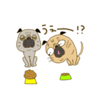 あたちパグのこうめ！！9（個別スタンプ：14）