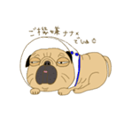 あたちパグのこうめ！！9（個別スタンプ：15）