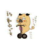 あたちパグのこうめ！！9（個別スタンプ：16）