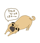 あたちパグのこうめ！！9（個別スタンプ：18）