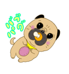あたちパグのこうめ！！9（個別スタンプ：19）