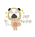 あたちパグのこうめ！！9（個別スタンプ：22）