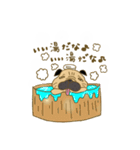 あたちパグのこうめ！！9（個別スタンプ：23）
