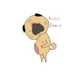 あたちパグのこうめ！！9（個別スタンプ：24）