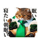 お父さん猫（個別スタンプ：5）