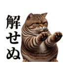 お父さん猫（個別スタンプ：9）
