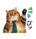 お父さん猫（個別スタンプ：11）