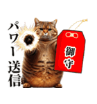 お父さん猫（個別スタンプ：21）