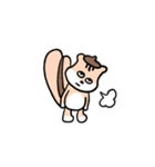 どんぐりす 第1弾（個別スタンプ：11）