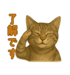 【無難に使える】子猫のスタンプ（個別スタンプ：3）