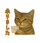 【無難に使える】子猫のスタンプ（個別スタンプ：4）