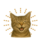 【無難に使える】子猫のスタンプ（個別スタンプ：5）