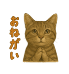 【無難に使える】子猫のスタンプ（個別スタンプ：8）