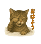 【無難に使える】子猫のスタンプ（個別スタンプ：9）
