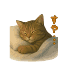 【無難に使える】子猫のスタンプ（個別スタンプ：10）