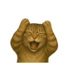 【無難に使える】子猫のスタンプ（個別スタンプ：11）