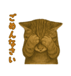 【無難に使える】子猫のスタンプ（個別スタンプ：12）