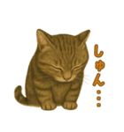 【無難に使える】子猫のスタンプ（個別スタンプ：14）
