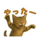 【無難に使える】子猫のスタンプ（個別スタンプ：15）