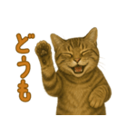 【無難に使える】子猫のスタンプ（個別スタンプ：17）
