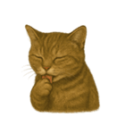 【無難に使える】子猫のスタンプ（個別スタンプ：18）