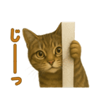 【無難に使える】子猫のスタンプ（個別スタンプ：24）