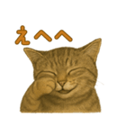 【無難に使える】子猫のスタンプ（個別スタンプ：27）
