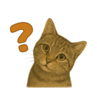 【無難に使える】子猫のスタンプ（個別スタンプ：28）