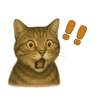 【無難に使える】子猫のスタンプ（個別スタンプ：29）
