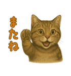 【無難に使える】子猫のスタンプ（個別スタンプ：31）