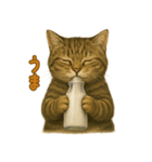 【無難に使える】子猫のスタンプ（個別スタンプ：36）