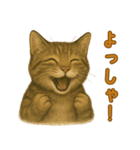 【無難に使える】子猫のスタンプ（個別スタンプ：37）