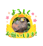 華蓮の日常Part3（個別スタンプ：2）