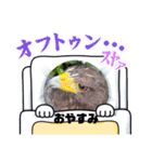華蓮の日常Part3（個別スタンプ：5）