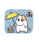 ねこかもスタンプ2（個別スタンプ：25）