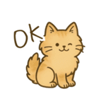 もふもふねこスタンプ（個別スタンプ：1）