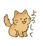 もふもふねこスタンプ（個別スタンプ：5）