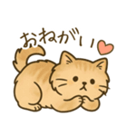 もふもふねこスタンプ（個別スタンプ：7）