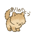 もふもふねこスタンプ（個別スタンプ：9）