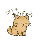 もふもふねこスタンプ（個別スタンプ：10）